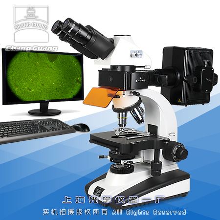 XSP-SG-63X熒光顯微鏡-醫用熒光顯微鏡